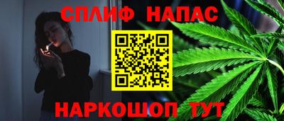 стаф Заводоуковск