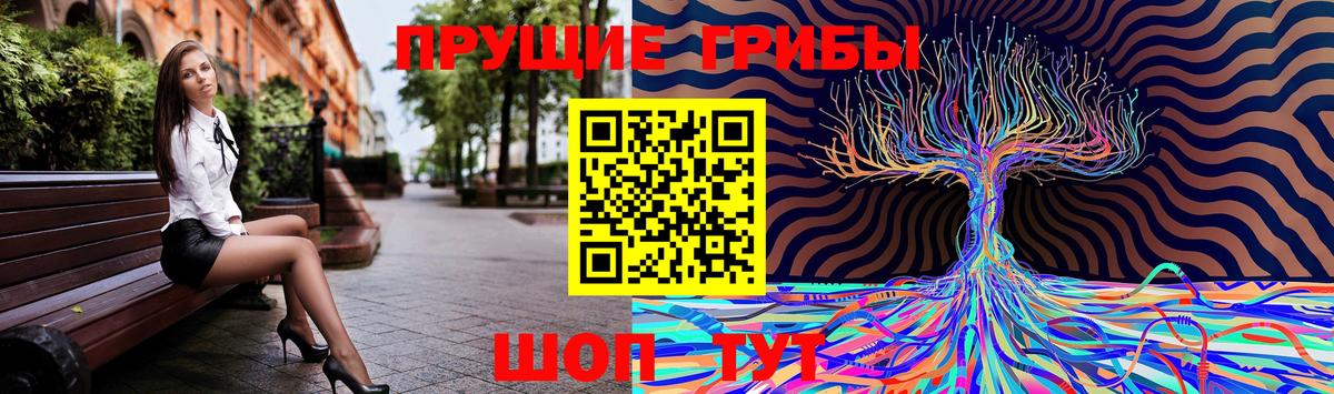 Галлюциногенные грибы Cubensis Иркутск