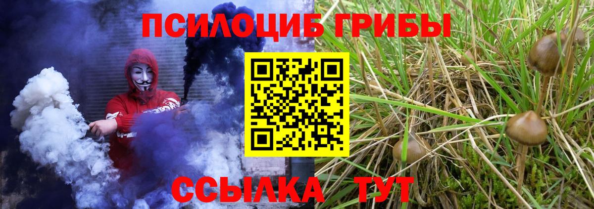 Иркутск  Галлюциногенные грибы GOLDEN TEACHER  Псилоцибиновые грибы Magic Shrooms  Вход с VPN 